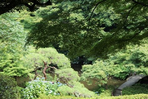 東京 龍脈|池田山（東京）｜東京都のパワースポット／神社｜パ 